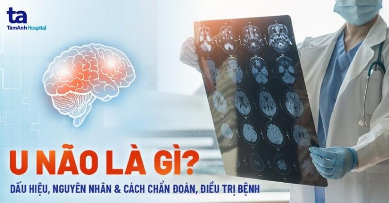 Minh họa tỷ lệ cơ thể người cơ bản theo hệ thống 8 đầu, chia rõ các phần từ đỉnh đầu đến chân